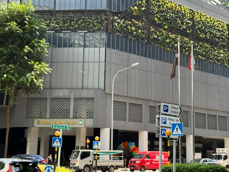 Eingang Moschee Bild